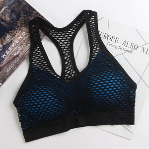 Mesh Sports Bra Hollow Out Sport Top Seamless Fitness Yoga Bras Women Gym Top Padded Running Vest Shockproof Push Up Crop Top